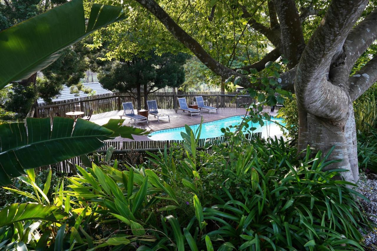 Badger'S Cottage Knysna Exterior foto