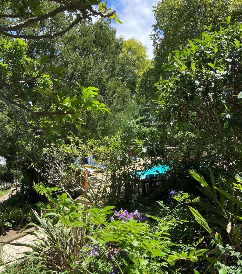 Badger'S Cottage Knysna Exterior foto